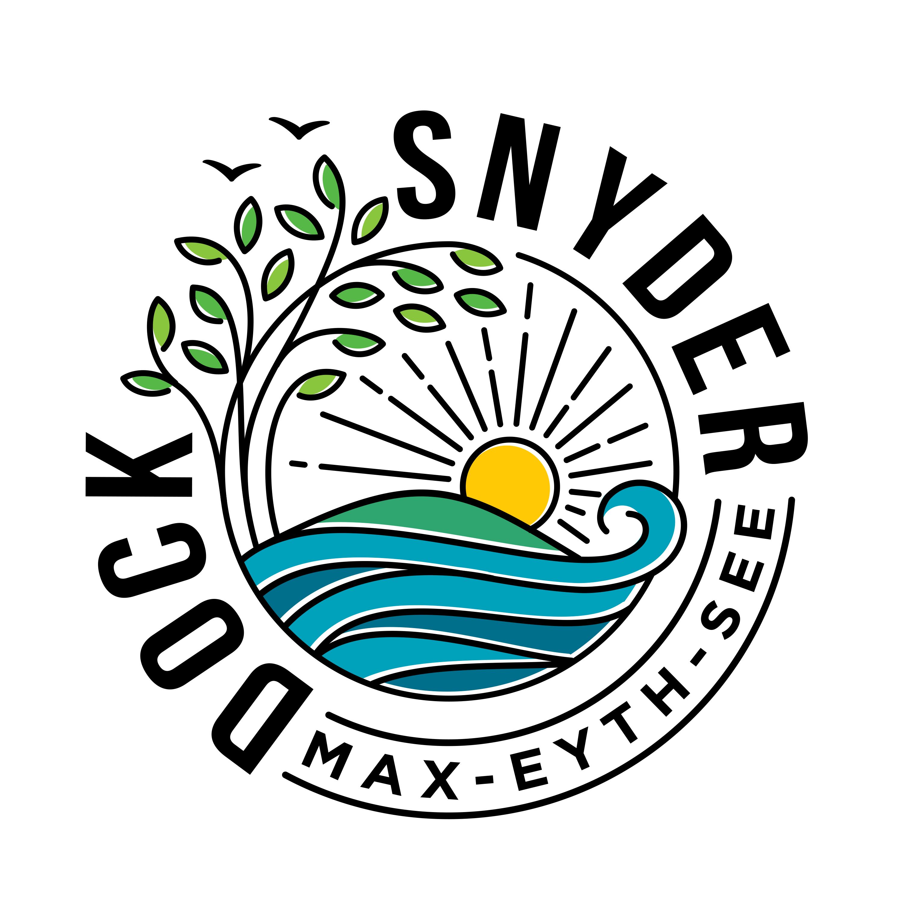 Logo Dock Snyder